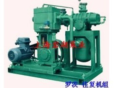 供應(yīng)羅茨-往復(fù)真空泵機(jī)組系列——高效可靠的真空解決方案